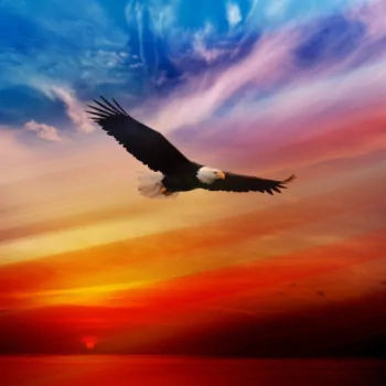  Flight of the Eagle