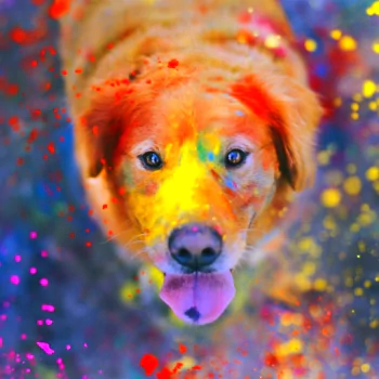 golden retriever colors Holi dog holiday PFP