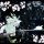 Blue Exorcist