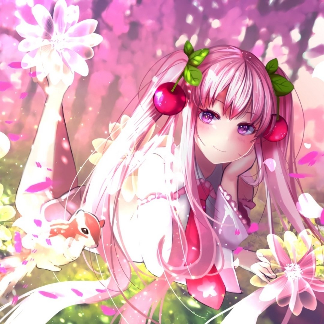 vocaloid sakura miku