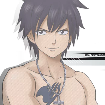 Gray Fullbuster PFP