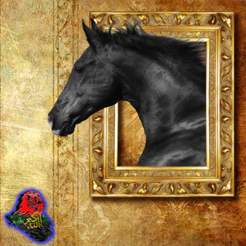  A horse with a picture frame