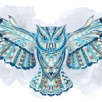 Preview Owl