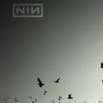 music Nine Inch Nails PFP