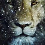 movie The Chronicles of Narnia: The Voyage of the Dawn Treader PFP
