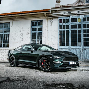 muscle car green car vehicle car Ford Mustang Ford PFP