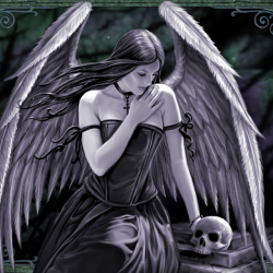 Gothic Fantasy by Anne Stokes