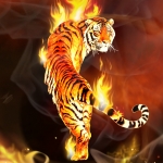 Tiger,Tiger Burning Bright