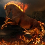 Horse Of Fire