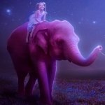 Download Elephant Pink Photography Manipulation PFP