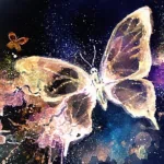  Magic Butterflies