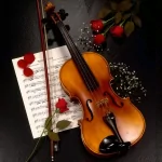  A Violin For JerseyGirl