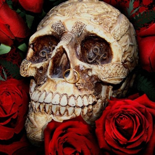 Download Red Flower Gothic Piercing Red Rose Rose Skull Dark PFP