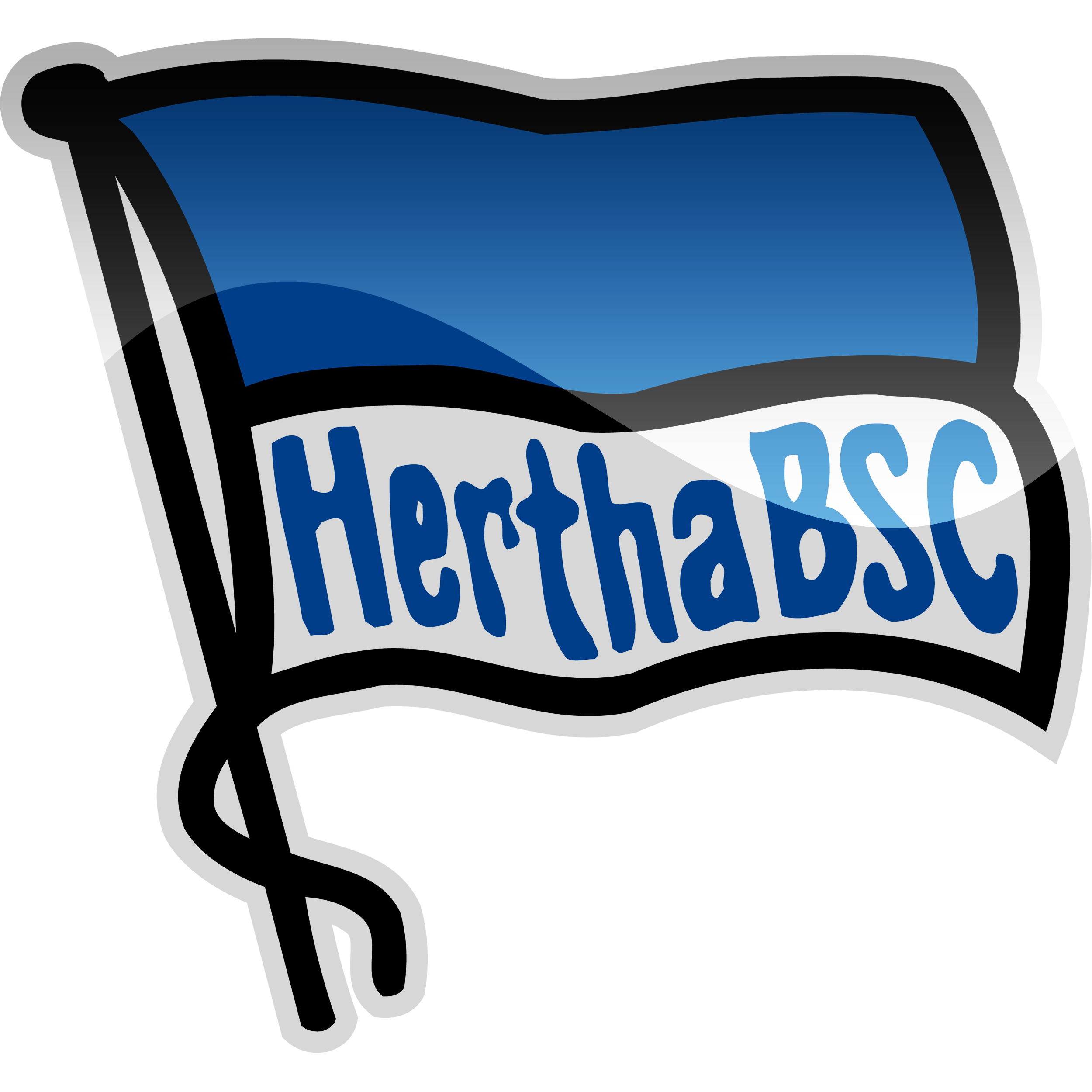 Hertha BSC Pfp