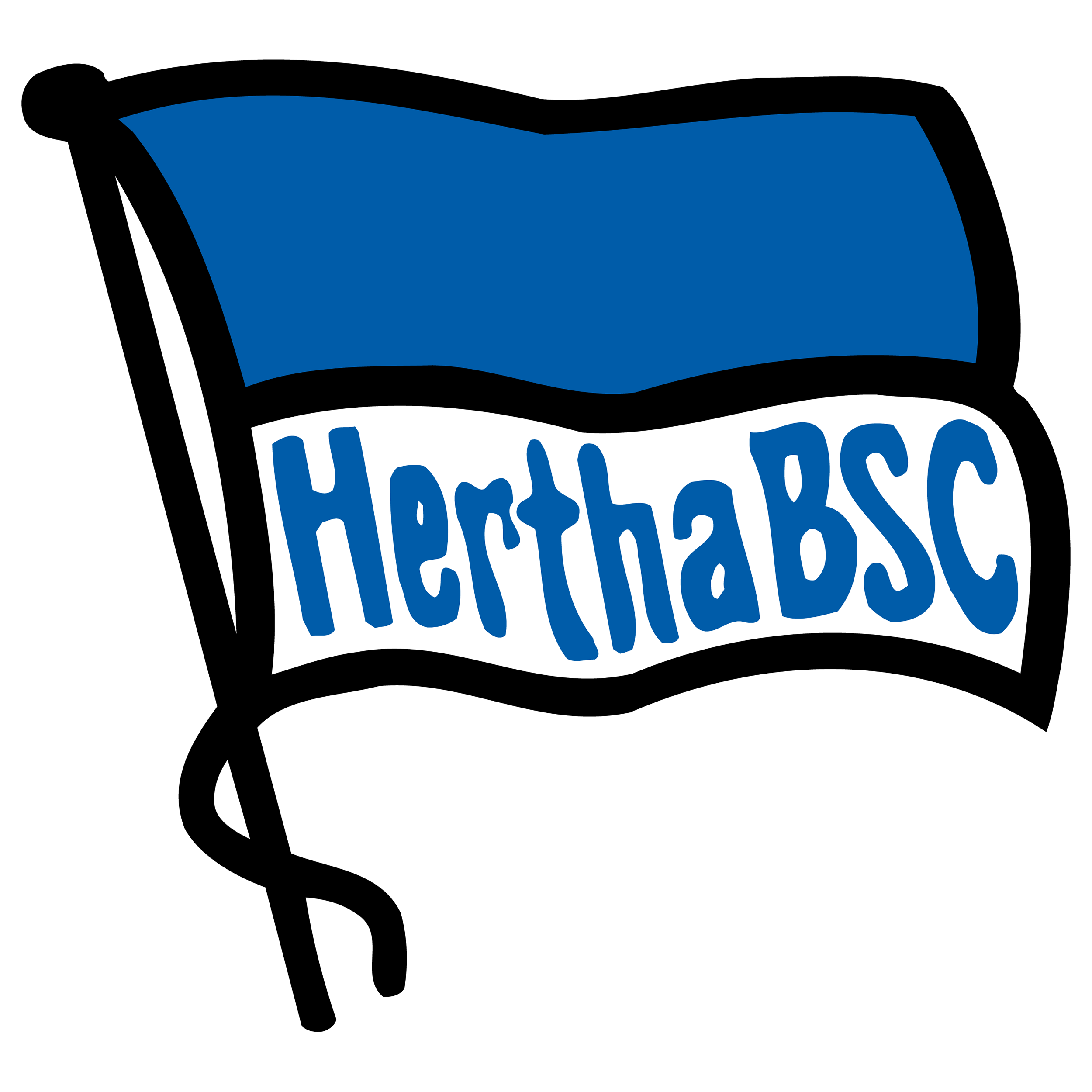 Hertha BSC Pfp