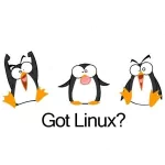 technology Linux PFP