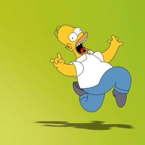 Download Homer Simpson TV Show The Simpsons PFP