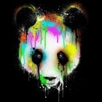 Download Animal Panda PFP