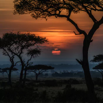  Sunrise in Africa