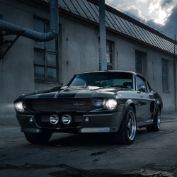 Ford Mustang Shelby GT500 Pfp