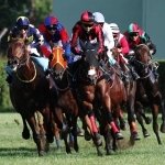 Download Horse Racing Sports PFP