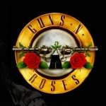 Download Music Guns N' Roses PFP