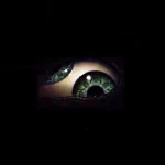 music Tool PFP