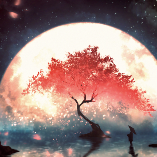 Download Moon Sakura Starry Sky Sky Anime Tree Sky Anime PFP