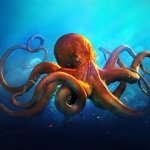Download Animal Octopus PFP