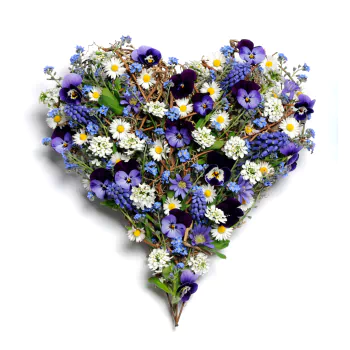 heart-shaped purple flower white flower chamomile pansy flower man made PFP