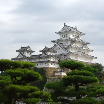  Himeji Castle (The White Egret Castle)