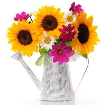  Sunflowers and Cosmos