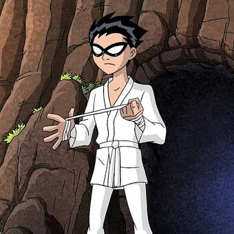 Teen Titans Robin (DC Comics) Dick Grayson TV Show PFP