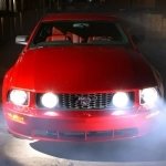 Download Vehicle 2005 Ford Mustang PFP