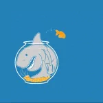 funny shark PFP