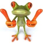 Download Animal Frog PFP