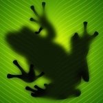 Download Animal Frog PFP