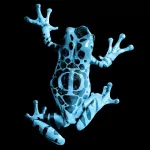  Blue Frog