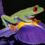  Sitting On A Flower