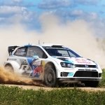 Download Rallying Sports PFP