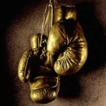  Boxing Gloves