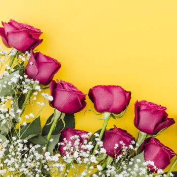 rose pink flower flower man made PFP