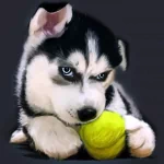Animal puppy PFP