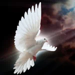  Heavens Light