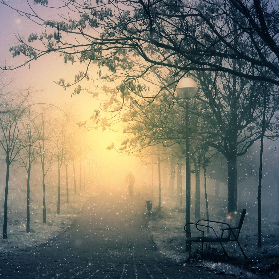 Man Walking Alone in Winter Park