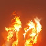 video game Borderlands 2 PFP