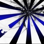 Download Abstract White PFP