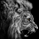  Don't Mess With Me !