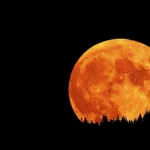 nature moon PFP