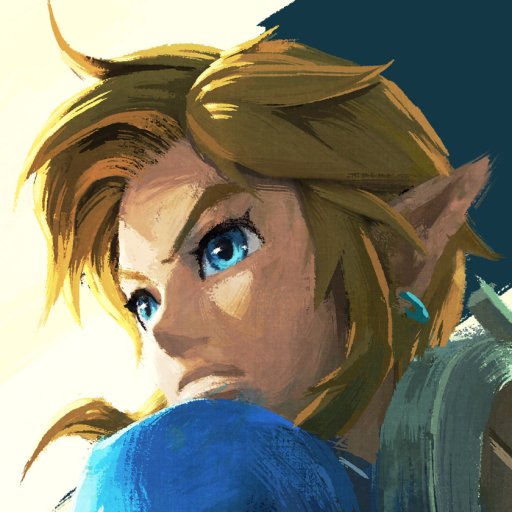 Download The Legend Of Zelda: Breath Of The Wild The Legend Of Zelda Link Video Game  PFP by jaseyv8tfogods